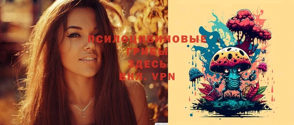 спайс Белокуриха